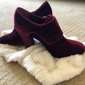 TORY BURCH velvet  heeled booties.